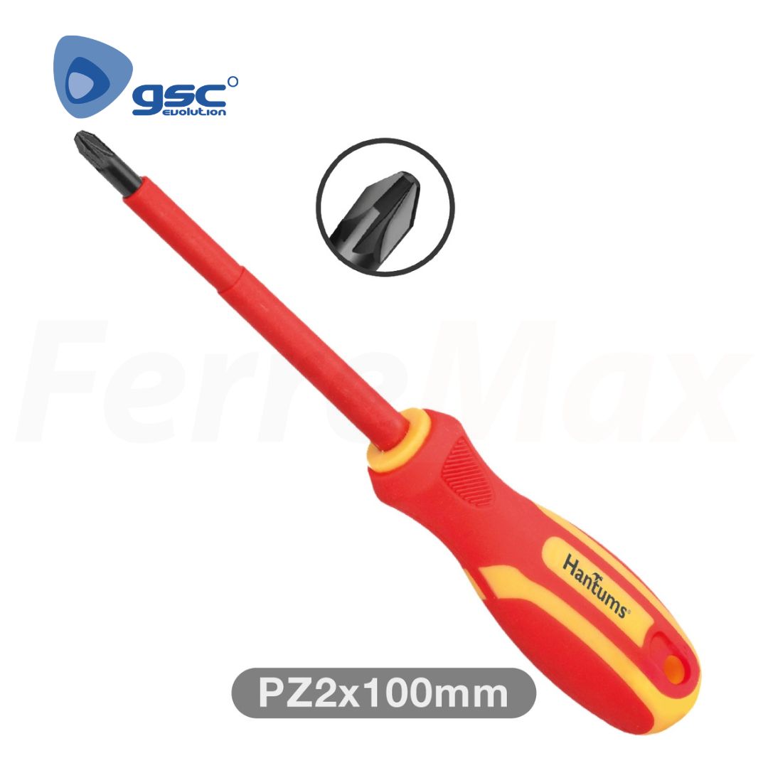 GSC DESTORNILLADOR POZIDRIV AISLADO PZ2X100MM (12)