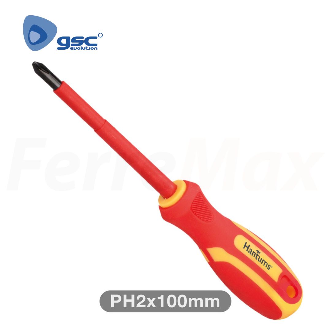 GSC DESTORNILLADOR AISLADO PHILIPS PH2X100MM (12)